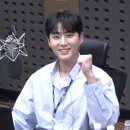 250302 데이식스 Forever young 대전 콘서트 첫콘 후기