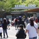 동일삭도 주식회사 이미지