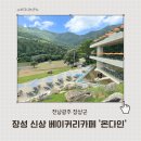 다인베이커리 | 장성 카페 온다인 초록뷰가 멋진 신상 베이커리카페