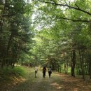 파주삼릉, 가장 쓸쓸한 왕릉 공순영릉에서 산책길을 걸으며... (7. 18 진행자 후기) 이미지