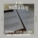 사임당로18길 31-5 | 강아지 심장병 서동심 초진 후기[서울동물심장병원]