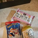 더 케이 무인 호텔 | 경주 애견동반호텔 더케이호텔 후면뷰 솔직후기! / 페텔 이용, 애견동반숙소 추천