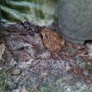 산속에아침 이미지