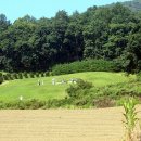 광혜원면 실원리 당원위영당(廣惠院面 實院里 唐原尉影堂)