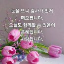 짠ㅋㅋㅋㅋ 이미지