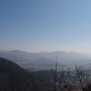 장수벌목 Daum카페