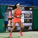 소피아코리아