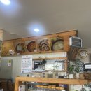 대림정 | 대구 / 삼덕동 맛집 / 진한 국물과 향의 상황버섯 삼계탕 / 대림정 (내돈내산 후기!)