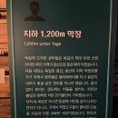 상주은모래비치 캠핑장 입구 | 경남 남해 당일치기, 독일마을, 상주은모래비치, 다랭이 마을.