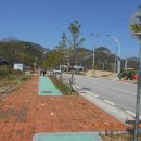 장모님젓갈직판장