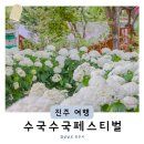 진주 | 경남 수국 축제 가볼만한곳 진주수국수국페스티벌 월아산숲속의진주 후기