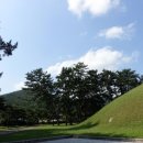 경주 둥지가족펜션 이미지