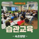 양양초등학교 이미지
