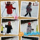 용인대석사체육관 이미지