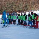 용인대예당태권도 이미지