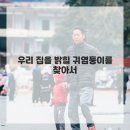 애견이야기 이미지