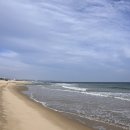 세븐일레븐양양하조대점 이미지