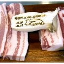 돈모닝 이미지