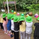 파주시유아숲체험원 이미지