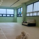 멍린이 대공원 이미지