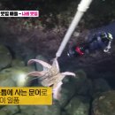 나래맛집 이미지