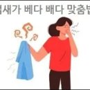 배다201