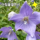 행복가득 이미지