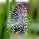 들꽃산장 이미지