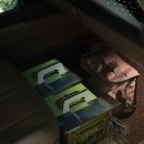 아영하우스 | 경주에 가면 🏠🏠🏠+🏠