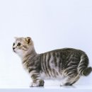 24시보듬동물병원 이미지