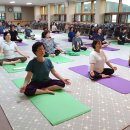 부계면사무소 쿠키뉴스