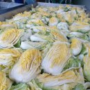 진성농장 이미지