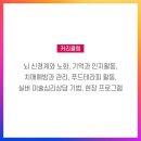 [1급과정] 심리상담사 1급 이미지