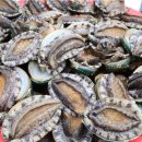 완도전복 이미지