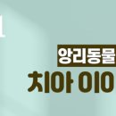 앙리동물병원 이미지