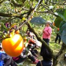 한덕농장 이미지