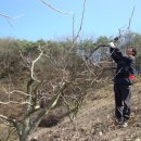 호림농장 이미지