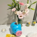 소원장 | [원주] 타토아비욘드 노화의 종말..스킨 스케일링, 라라필, 아쿠아필 케어 후기