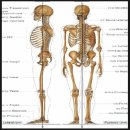 파주성모의원 이미지