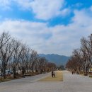 구름따라 이미지