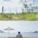 만나리 이미지