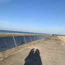 푸르다펜션 이미지