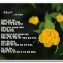 백향 이미지