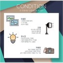 인생사진관 이미지