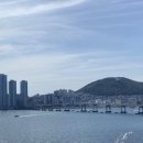 아이러브피자 네이버블로그