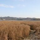오량가옥