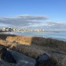 김택화미술관 | 르바게트 오드랑베이커리 만춘서점 두툼한고기돈돼지 함덕소품샵투어 김택화미술관 커피파인더 쿠키상점