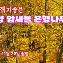 암새들 이미지