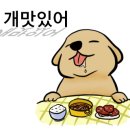 태양정육점 이미지