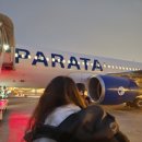 6501 | 김포 - 제주 국내선 파라타항공 WE6501 탑승후기